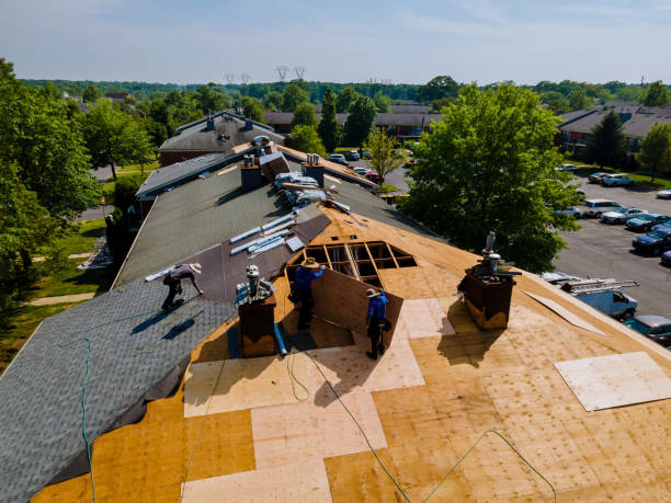 Trusted Almont, MI Roofing Contractor Experts
