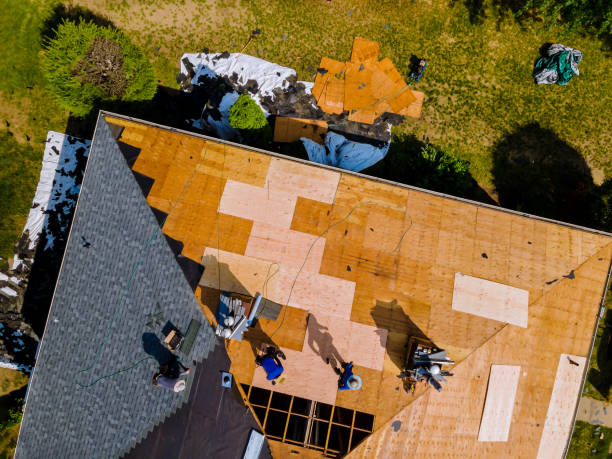 Best Storm Damage Roof Repair  in Almont, MI