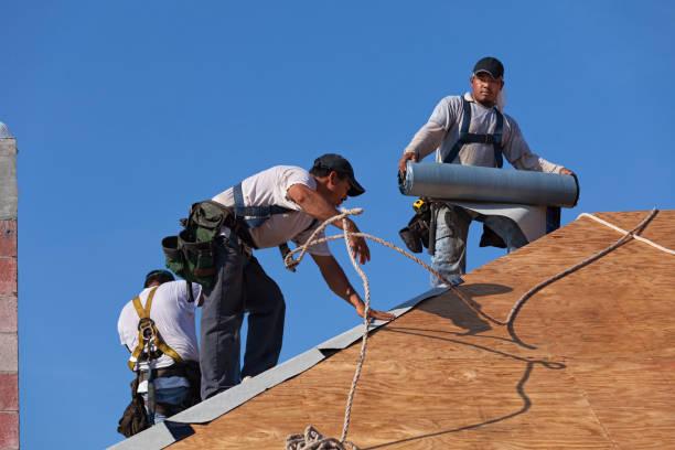 Best Best Roofing Contractors  in Almont, MI