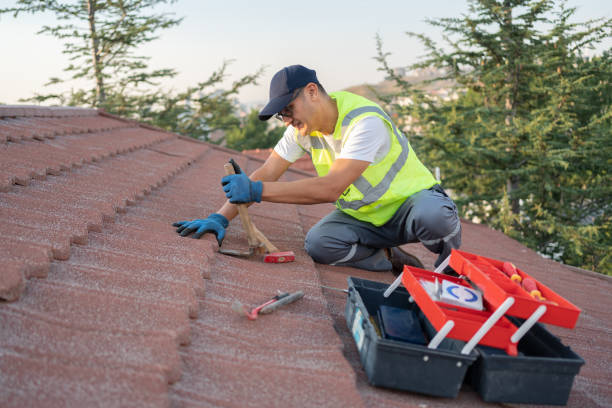 Best Roof Replacement Cost  in Almont, MI