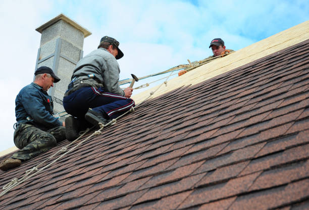 Best Roof Inspection Near Me  in Almont, MI
